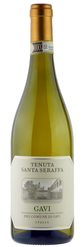 Gavi DOCG del Comune di Gavi