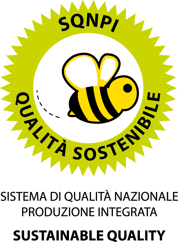 SQNPI - Produzione integrata